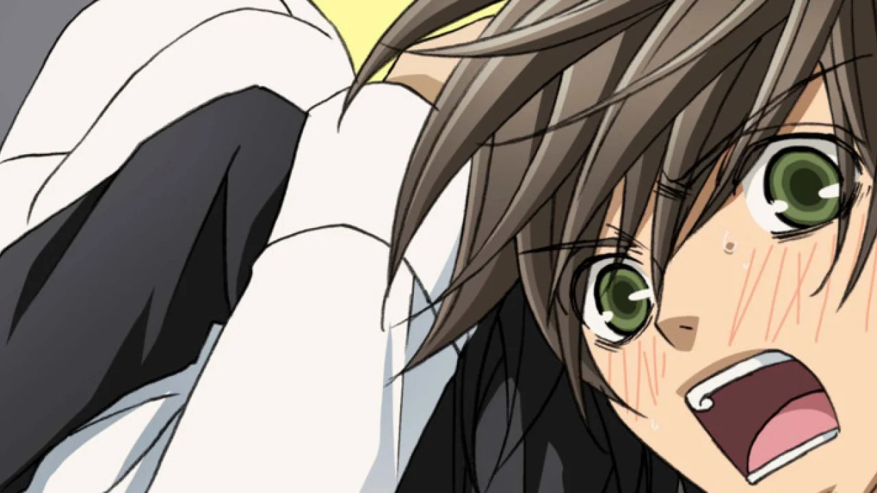 Junjou Romantica 2