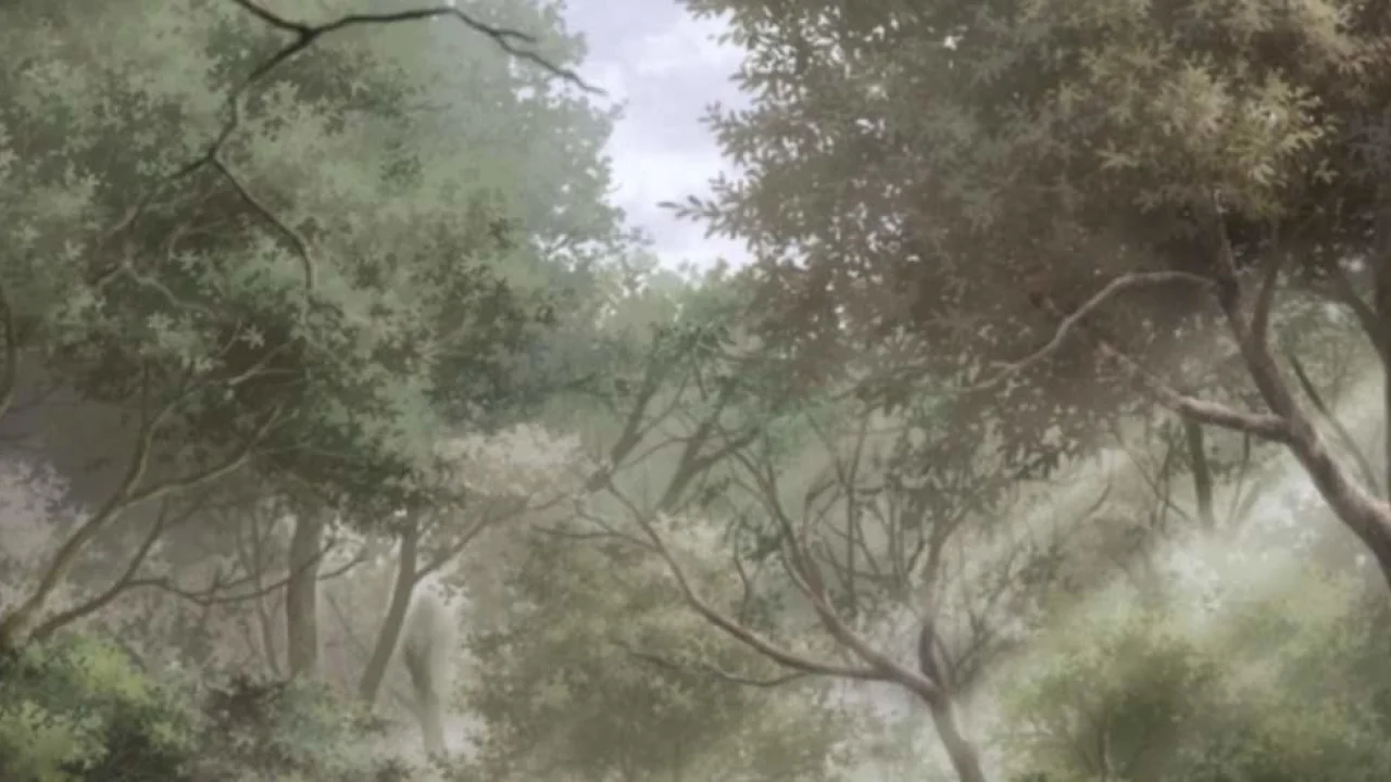 Mushishi Zoku Shou 2